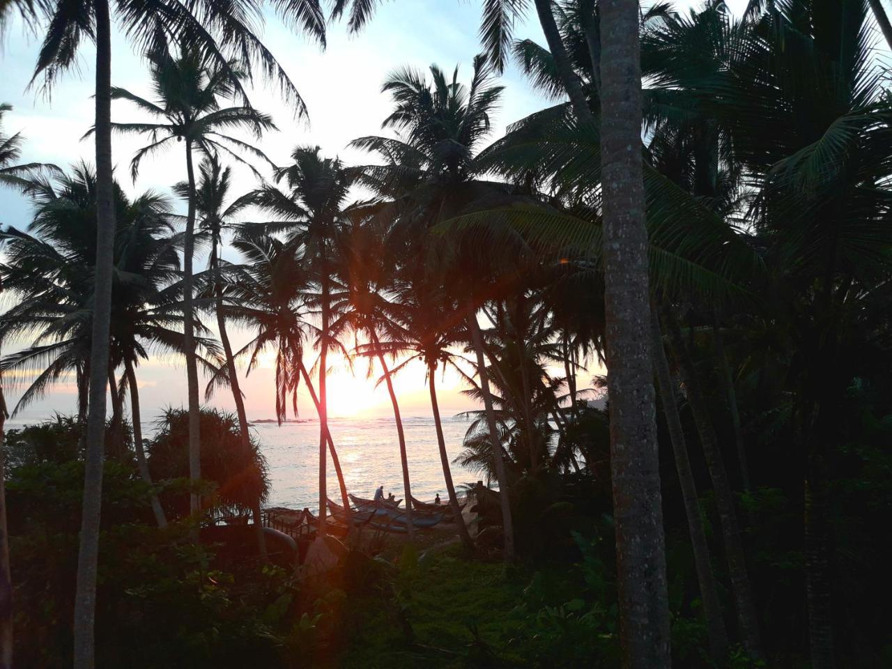 Sunray Rest - Beach View Homestay Mirissa Dış mekan fotoğraf