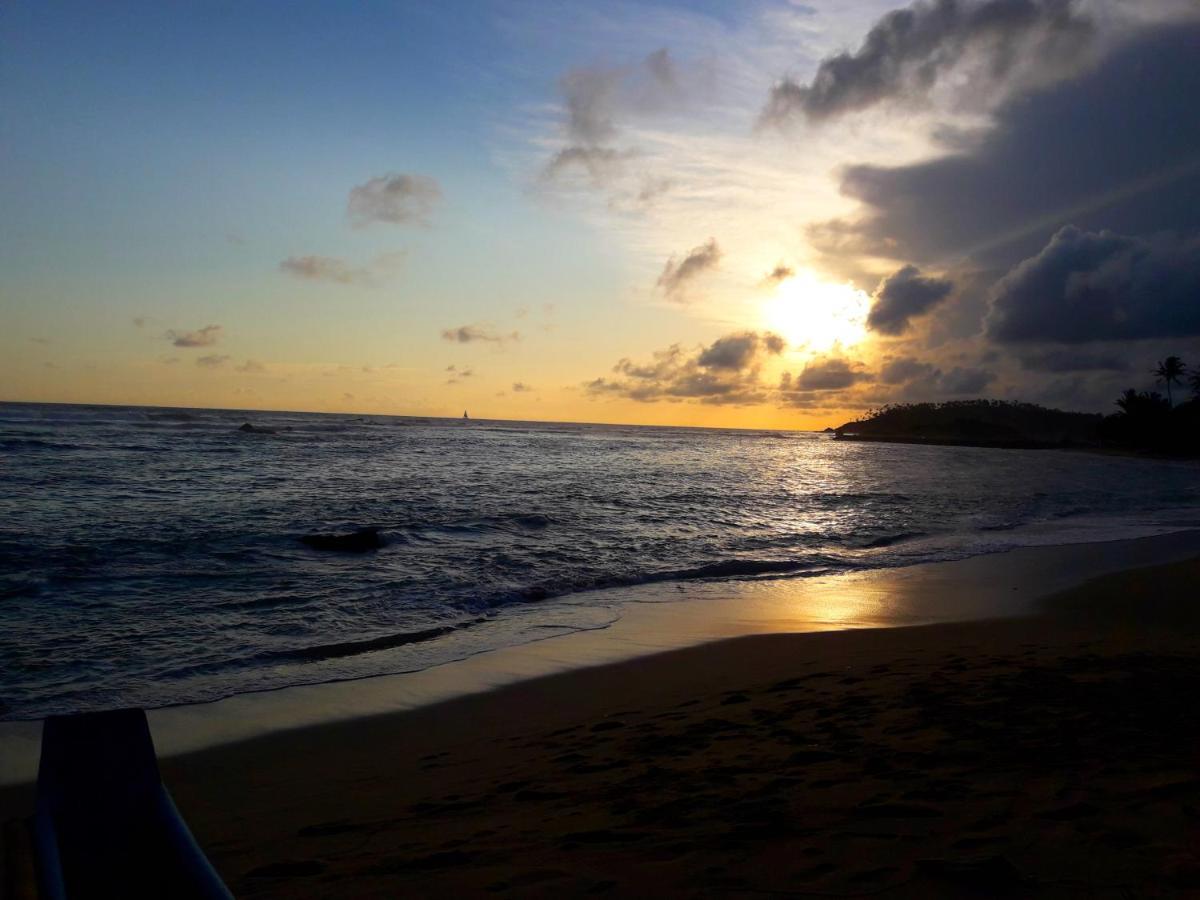 Sunray Rest - Beach View Homestay Mirissa Dış mekan fotoğraf